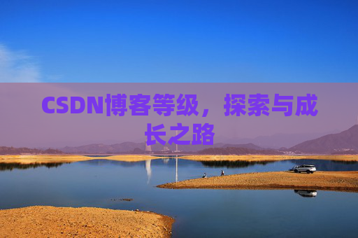 CSDN博客等级，探索与成长之路